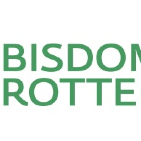 logo bisdom_1