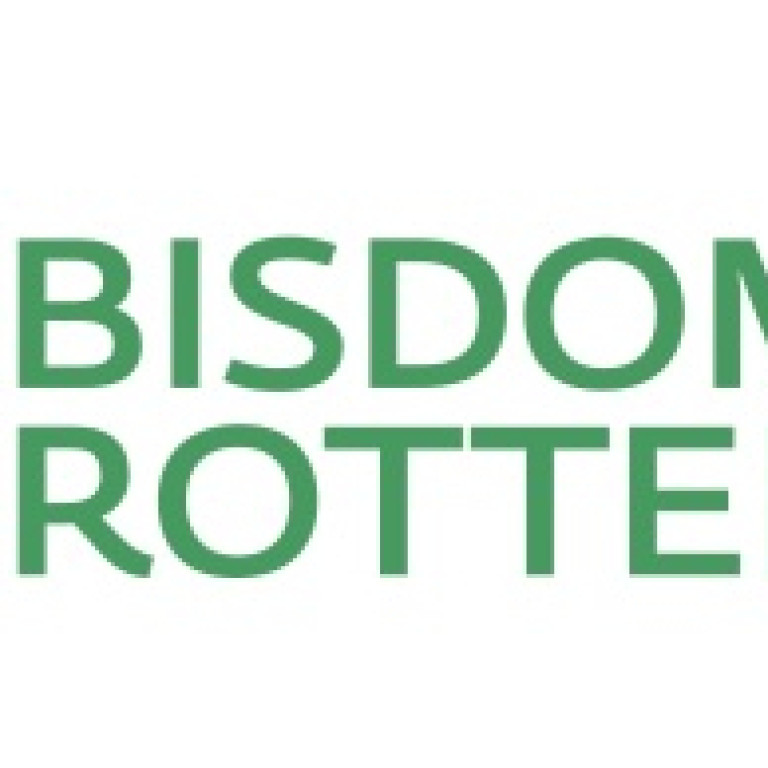 logo bisdom_1