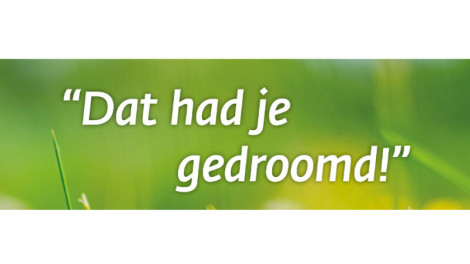 zomerkampen 2023