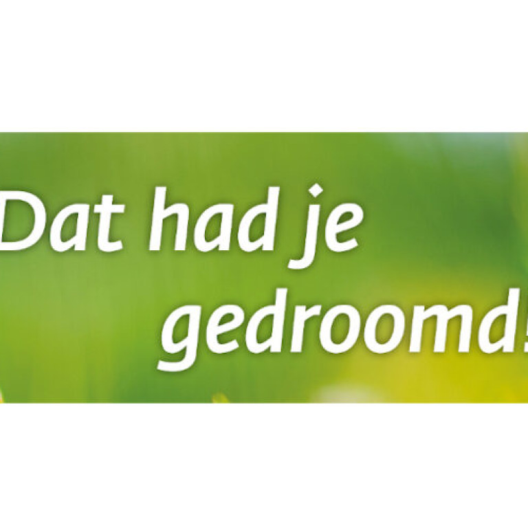 zomerkampen 2023